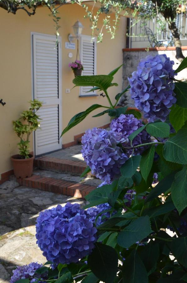 Monsummano Terme Maison Brinati Bed And Breakfast מראה חיצוני תמונה